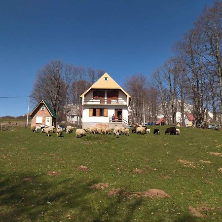 Kolibri Villa Zabljak  Exterior photo